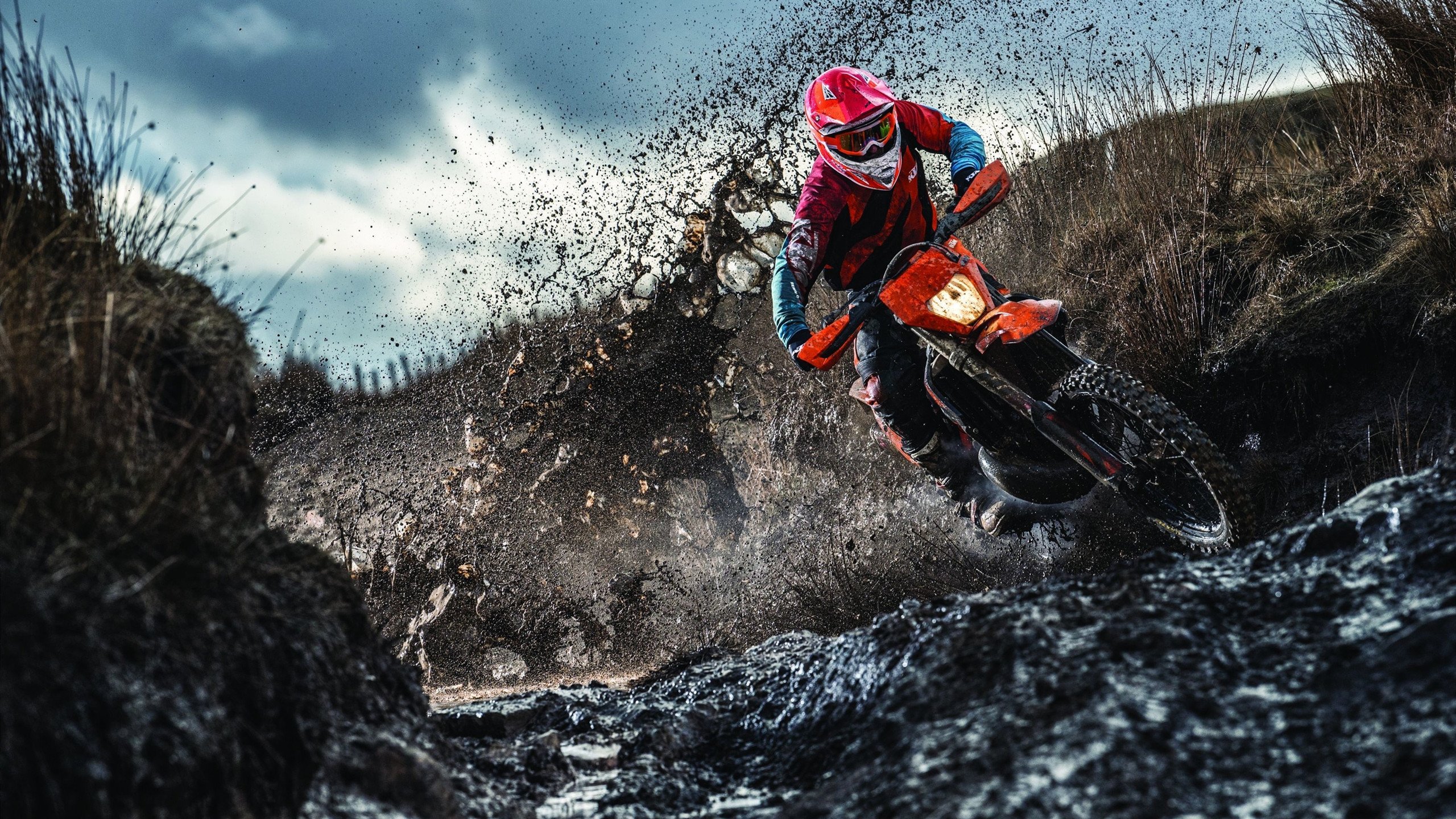 加拿大队带队取胜！，莎拉波娃重要时刻战术调整热度持续攀升